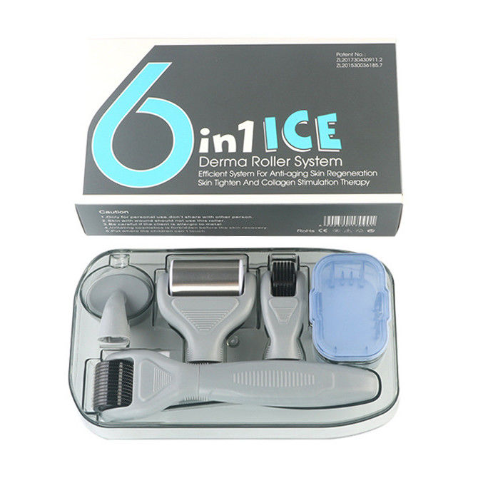 Professional Medical PC Handle Detachable ICE Derma Roller 6 in 1 for Skin Rejuvenation