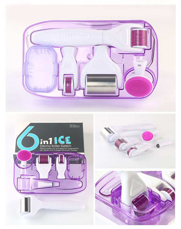 Professional Medical PC Handle Detachable ICE Derma Roller 6 in 1 for Skin Rejuvenation