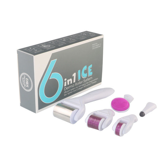 6 in 1 Derma Roller Kit with Ice Roller Skin Cooling Derma Care Facial Beauty NO Plugs Type