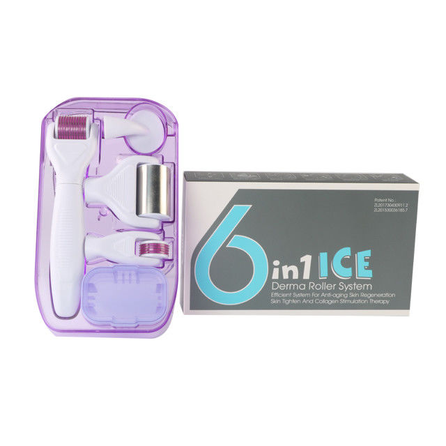 6 in 1 Derma Roller Kit with Ice Roller Skin Cooling Derma Care Facial Beauty NO Plugs Type