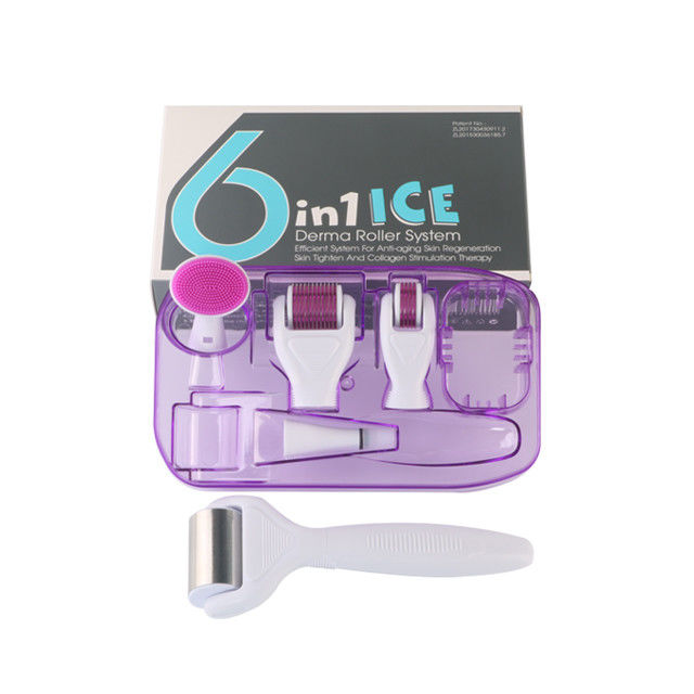 6 in 1 Derma Roller Kit with Ice Roller Skin Cooling Derma Care Facial Beauty NO Plugs Type