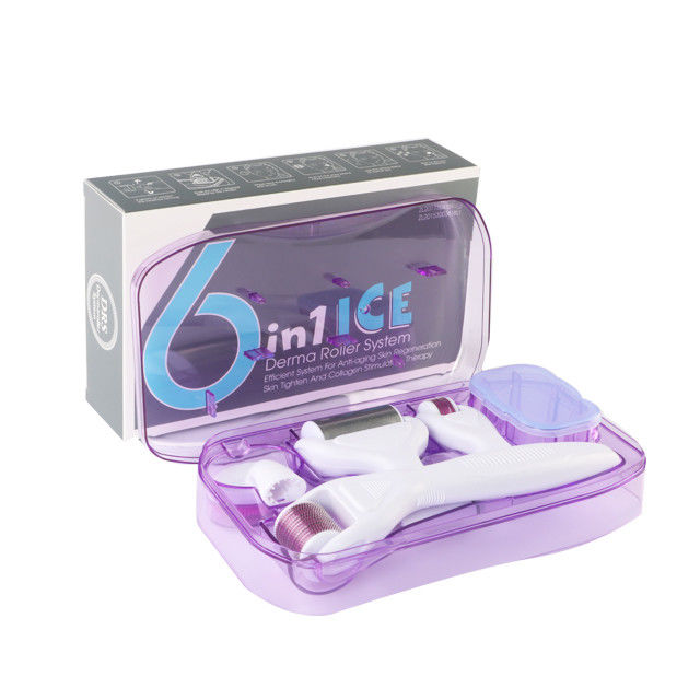 6 in 1 Derma Roller Kit with Ice Roller Skin Cooling Derma Care Facial Beauty NO Plugs Type
