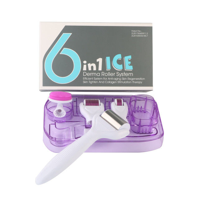6 in 1 Derma Roller Kit with Ice Roller Skin Cooling Derma Care Facial Beauty NO Plugs Type