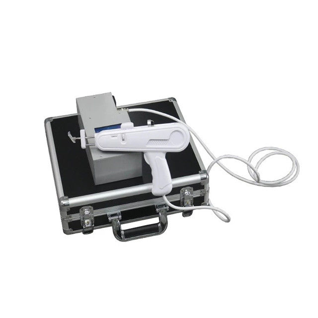 Mesotherapy Gun PRP Injector for Beauty Salon Take Your Business to the Next Level